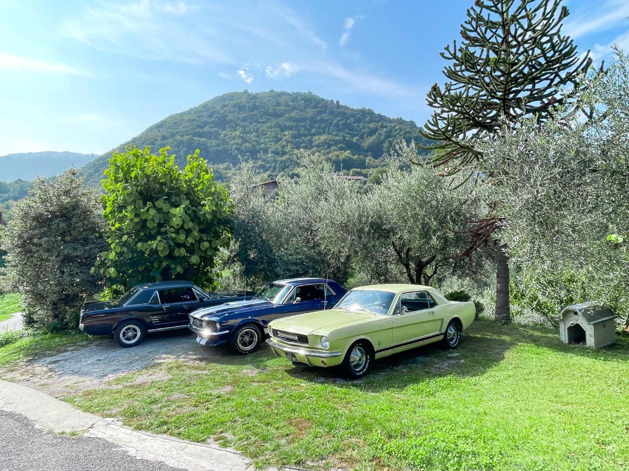 Appartamento Tivano Balcone Con Vista Lago Bellagio Bagian luar foto